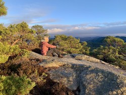 Holmaknuten