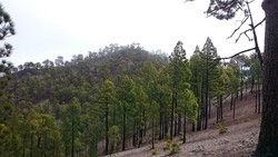 Montaña de Sandara