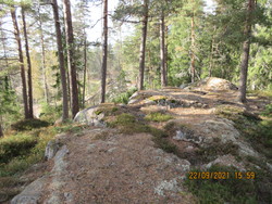 Tiuråsen sør