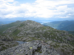 Hestaskornuten