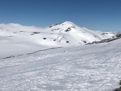 Fødalsnosi