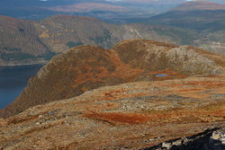 Klauva