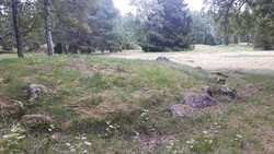 Gravhaug vikinggrav, Hunn