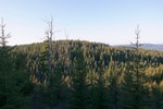 Røvarkula