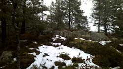 Askedalsåsen