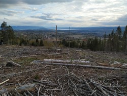 Knestangåsen