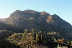 Montaña de Tauro