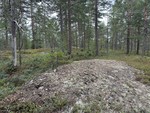 Breidåsen