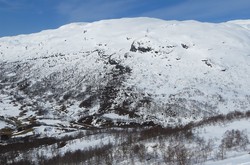 Bjødnanuten