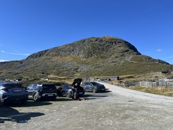 Toviknuten