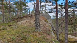 Knarren