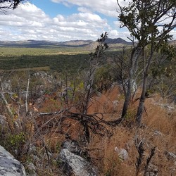 Helens point