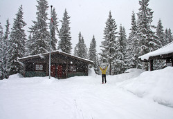Sjåheimen