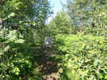 Toftåsen