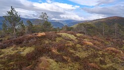 Varden