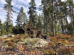 Somdalsåsen
