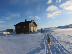 Skurvhytta