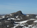 Syni