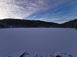 Frystetjørni