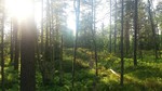Breidsjøhøgdene