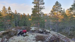 Hauketjernsberga