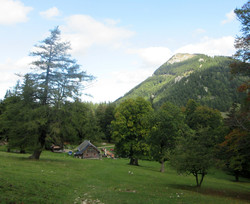 Kleinzeller Hinteralm