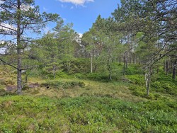 Bjørnshovdane
