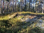 Langåsen
