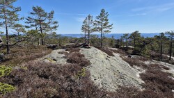 Vardefjell