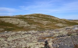 Taklinatten