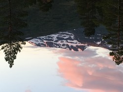 Indre Fauskånebba