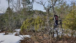 Bjørnøya Sør