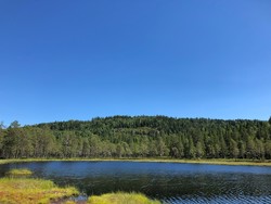 Marivollhøgda