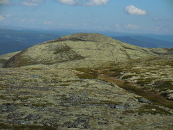 Søre Sillikampen