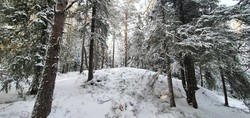 Bakliåsen Øst