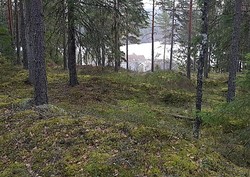 Hanååsen
