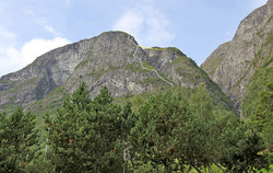 Hoven