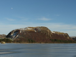 Haugåsen