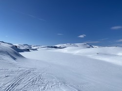 Dyrskarvatna