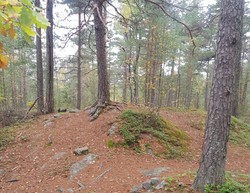 Meierkollen
