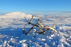 Storfjellet