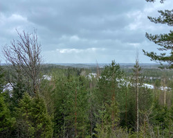 Vahteristonmäki