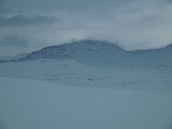 Røyrhøa
