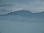 Røyrhøa