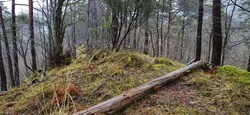 Engjeviksrinden