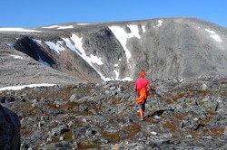 Stenhøa