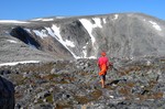 Stenhøa