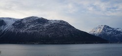 Nesaksla øst