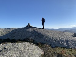 Loneknuten