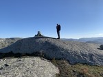 Loneknuten